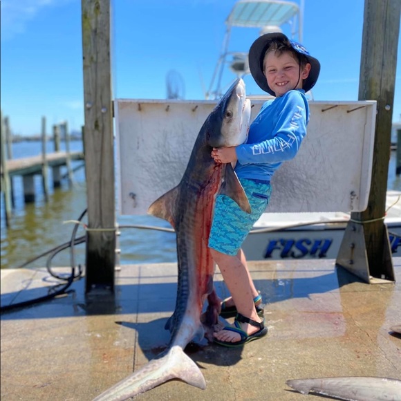 Meet your Posher, Jessie - Picture 3 of 6